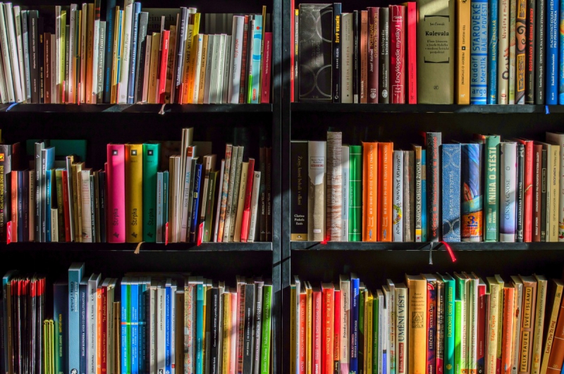 ecommerce-ASPREMONT-min_books_bookstore_book_reading_shop_writer_sale_books_read-822866